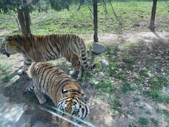 -西安秦岭野生动物园