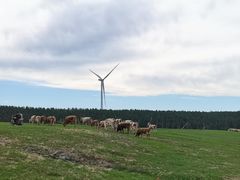 -塞罕坝国家级自然保护区