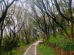-平湖九龙山旅游度假区