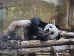 -常州淹城野生动物世界