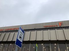 -谢列梅捷沃国际机场