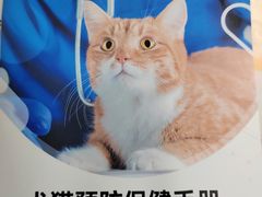 -美联众合动物医院(·中兽医·疑难杂症·严家桥分院)