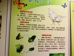 16.8-上海大自然野生昆虫馆