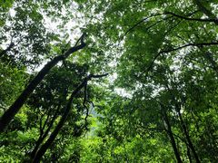 -西岭雪山大飞水景区