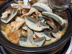 野生菌汤锅-菌之家·专业纯野生菌火锅·特色炒菌