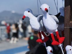-海埂大坝