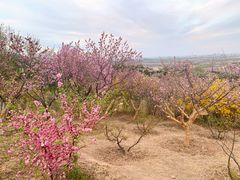 -北京西山国家森林公园