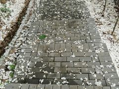 -梁野山景区