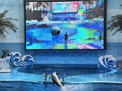 -海合安成都极地海洋公园
