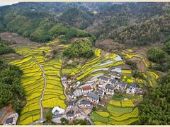 -灵山景区梯田