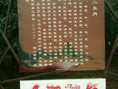 -漩门湾国家湿地公园