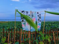 -七的湖·晚芳亭·阳澄湖农家菜·大闸蟹(莲花岛店)