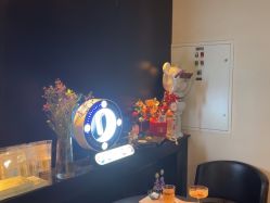 -玛莲朵·海菲秀冰珀科