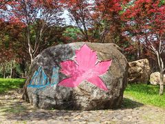 -广州市帽峰山景区