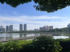 -月湖风景区