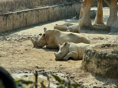 -杭州野生动物世界