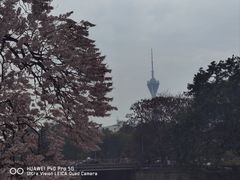 -红星桥(地铁站)