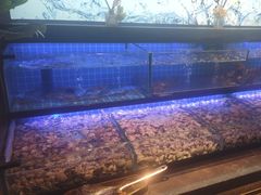 -透明思烤·自助烤肉海鲜火锅(东部星悦天地店)
