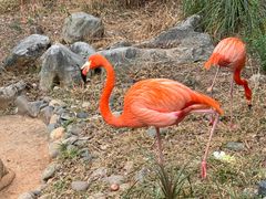 -昆明动物园