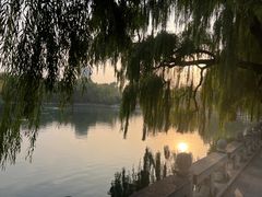 -百脉泉景区