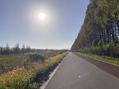 -上海长兴岛郊野公园