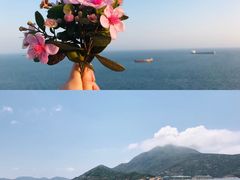-盐洲岛