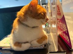 -简象咖啡CAFE ELE JANE(满陇桂雨店)