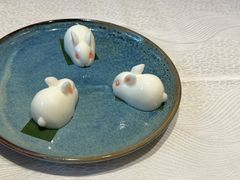 -侨美食家·41年地道粤菜(恒福路店)