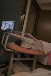 -爱弥儿月子中心(省医院店)