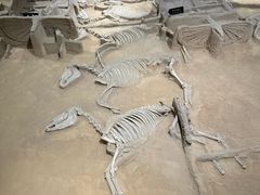 -洛阳周王城天子驾六博物馆