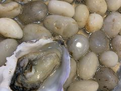 -探秘12时海鲜生蚝排档