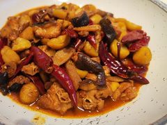 -印象鲵宴·张家界地标美食名片(溪布街店)