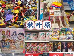 -秋叶原电器街