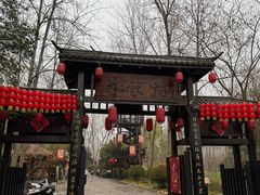 -合肥滨湖国家森林公园