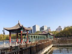 -莲花池公园