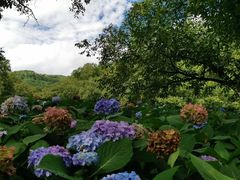 -苍山世界地质公园·石门关大峡谷