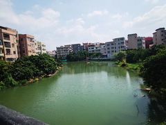 -小洲村