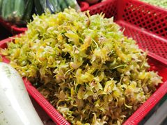 -花园菜市场