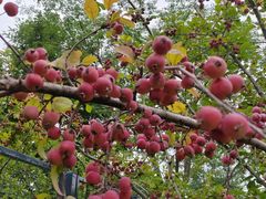 -汉长安城未央宫国家考古遗址公园