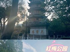 -红梅公园