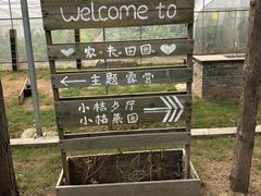 -前小桔亲子创意农场·草莓采摘·露营烧烤