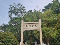 -晓港公园