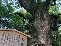 -热田神宫