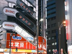 -秋叶原电器街