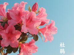 -艾溪湖湿地公园