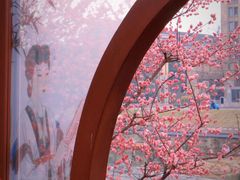 -望江楼公园