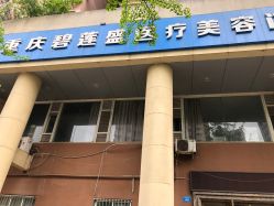 -碧莲盛·不剃发植发