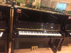 -柏斯音乐艺术中心·钢琴·吉他(世纪金源店)