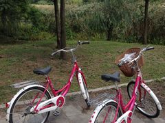 -贵阳市花溪国家城市湿地公园