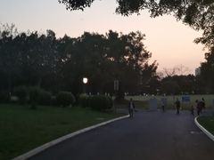 -南宁南湖公园